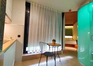 Appartement moderne et lumineux à Madrid