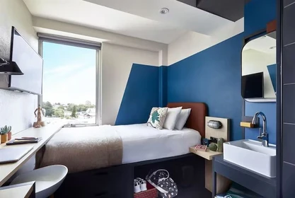 Privatzimmer in der Campus Melbourne Melbourne 3072, bild 6 von 20