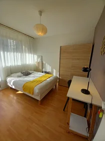 Prywatny pokój Limoges, 87100, obraz 1 9