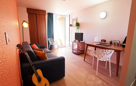 Prywatny pokój w rezydencji Bordeaux, 33000, obraz 14 15