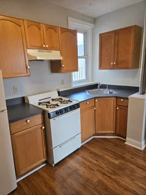 Evin tamamı Ikamet yerinde konumu 1189, Commonwealth Ave., Unit 20, Allston, Boston, MA, 02134, 12 20 görüntüsü