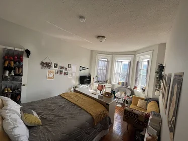 Evin tamamı Ikamet yerinde konumu 1189, Commonwealth Ave., Unit 20, Allston, Boston, MA, 02134, 19 20 görüntüsü