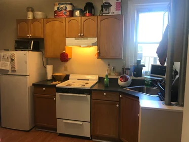 Evin tamamı Ikamet yerinde konumu 1189, Commonwealth Ave., Unit 20, Allston, Boston, MA, 02134, 9 20 görüntüsü