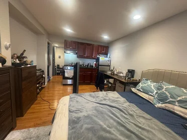 Studio at 98, Strathmore Rd., Unit 2B, Brighton, Boston, MA, 02135, image 1 of 10