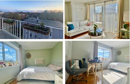 Entire apartment in residence at 70, Park St., Unit 61, West Somerville, Somerville, MA, 02143, image 17 of 19