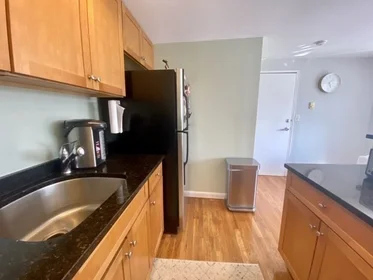 Entire apartment in residence at 70, Park St., Unit 61, West Somerville, Somerville, MA, 02143, image 3 of 19