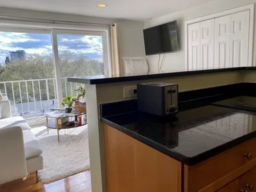 Entire apartment in residence at 70, Park St., Unit 61, West Somerville, Somerville, MA, 02143, image 10 of 19