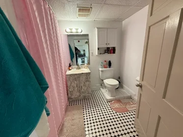 Toda a acomodação em residência em 1693, Commonwealth Ave., Unit B, Brighton, Boston, MA, 02135, imagem 11 de 13