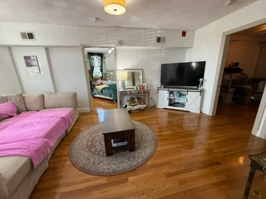 Toda a acomodação em residência em 1693, Commonwealth Ave., Unit B, Brighton, Boston, MA, 02135, imagem 12 de 13