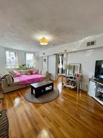 Toda a acomodação em residência em 1693, Commonwealth Ave., Unit B, Brighton, Boston, MA, 02135, imagem 5 de 13