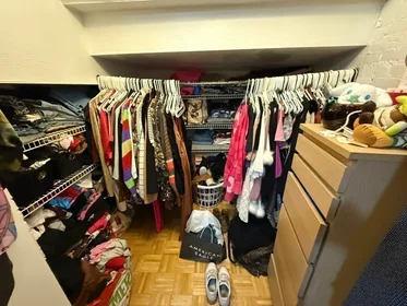 Toda a acomodação em residência em 1693, Commonwealth Ave., Unit B, Brighton, Boston, MA, 02135, imagem 6 de 13