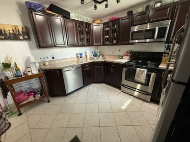 Toda a acomodação em residência em 1693, Commonwealth Ave., Unit B, Brighton, Boston, MA, 02135, imagem 7 de 13