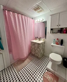 Toda a acomodação em residência em 1693, Commonwealth Ave., Unit B, Brighton, Boston, MA, 02135, imagem 8 de 13