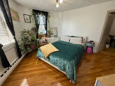 Toda a acomodação em residência em 1693, Commonwealth Ave., Unit B, Brighton, Boston, MA, 02135, imagem 9 de 13