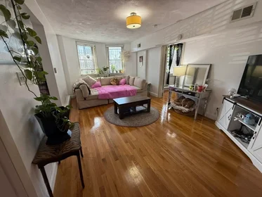 Toda a acomodação em residência em 1693, Commonwealth Ave., Unit B, Brighton, Boston, MA, 02135, imagem 10 de 13