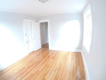 Toda a acomodação em residência em 1615, Commonwealth Ave., Unit 20, Brighton, Boston, MA, 02135, imagem 11 de 13