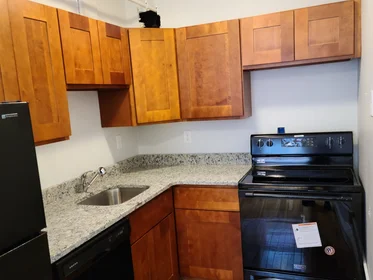 Toda a acomodação em residência em 1615, Commonwealth Ave., Unit 20, Brighton, Boston, MA, 02135, imagem 12 de 13