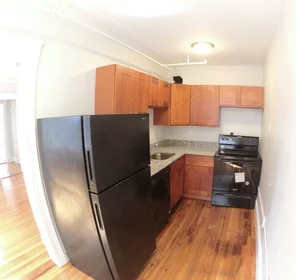 Toda a acomodação em residência em 1615, Commonwealth Ave., Unit 20, Brighton, Boston, MA, 02135, imagem 8 de 13