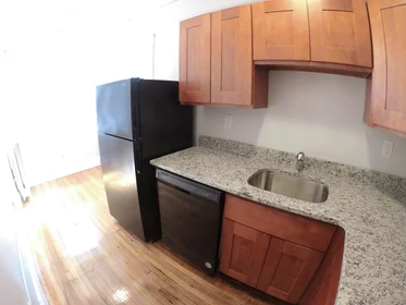 Toda a acomodação em residência em 1615, Commonwealth Ave., Unit 20, Brighton, Boston, MA, 02135, imagem 9 de 13
