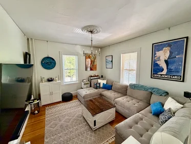 Toda a acomodação em 36, Arlington St., Unit 36, Brighton, Boston, MA, 02135, imagem 1 de 10