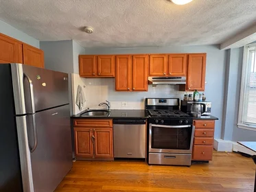 Toda a acomodação em residência em 128, Bunker Hill Sst, Unit 2, Charlestown, Boston, MA, 02129, imagem 8 de 8