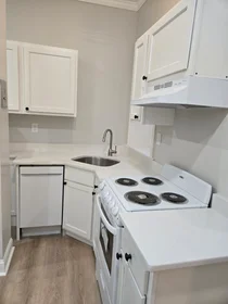 Toda a acomodação em residência em 1193, Commonwealth Ave., Unit 5, Allston, Boston, MA, 02134, imagem 4 de 15