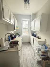 Stüdyo daire Ikamet yerinde konumu 1193, Commonwealth Ave., Unit 12, Allston, Boston, MA, 02134, 1 18 görüntüsü