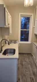 Stüdyo daire Ikamet yerinde konumu 1193, Commonwealth Ave., Unit 12, Allston, Boston, MA, 02134, 11 18 görüntüsü
