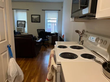 Logement entier en résidence à 222, North St., Unit 2, North End, Boston, MA, 02113, image 5 de 15