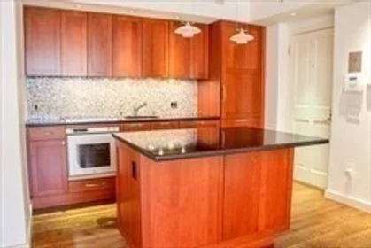 Stüdyo daire Ikamet yerinde konumu 236, Beacon St., Unit 1C, Back Bay, Boston, MA, 02116, 12 14 görüntüsü