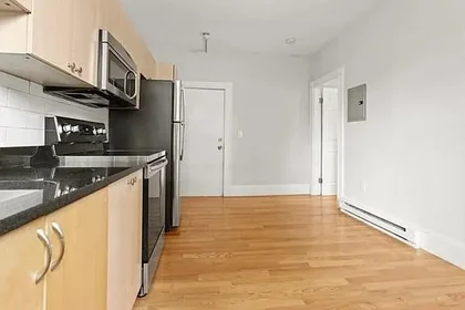 Logement entier à 14, Lyndhurst, Unit 1F, Dorchester, Boston, MA, 02124, image 1 de 10
