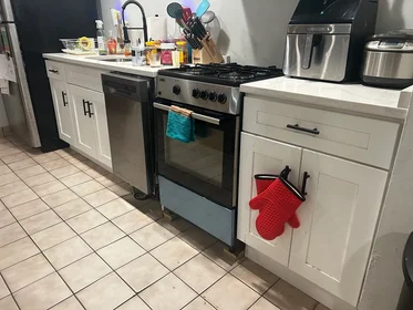 Toda a acomodação em residência em 80, Mount Pleasant, Unit B, Roxbury, Boston, MA, 02119, imagem 2 de 8
