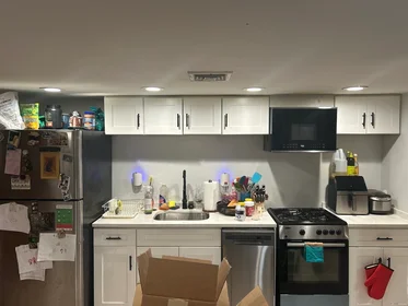 Toda a acomodação em residência em 80, Mount Pleasant, Unit B, Roxbury, Boston, MA, 02119, imagem 4 de 8