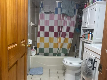 Toda a acomodação em residência em 80, Mount Pleasant, Unit B, Roxbury, Boston, MA, 02119, imagem 6 de 8