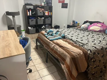 Toda a acomodação em residência em 80, Mount Pleasant, Unit B, Roxbury, Boston, MA, 02119, imagem 7 de 8