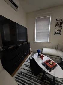 Studio at 1082, Commonwealth, Unit 101, Allston, Boston, MA, 02215, image 1 of 5
