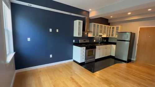 Gesamte Unterkunft im Wohnheim in der 251, Dudley St., Unit 1, Roxbury, Boston, MA, 02119, bild 12 von 12