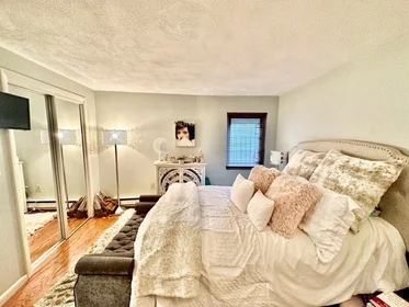 Alojamiento entero en residencia en 61, Salem St., Unit 3, North End, Boston, MA, 02113, imagen 20 de 20