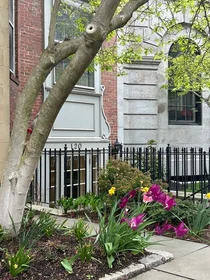 Stüdyo daire Ikamet yerinde konumu 120, Beacon St., Unit 1A, Back Bay, Boston, MA, 02116, 6 16 görüntüsü