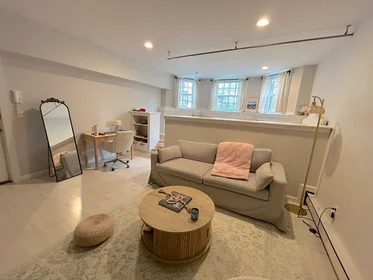 Stüdyo daire Ikamet yerinde konumu 120, Beacon St., Unit 1A, Back Bay, Boston, MA, 02116, 9 16 görüntüsü