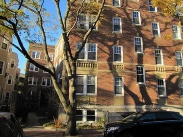 Logement entier en résidence à 21, Shepard St., Unit 1, Harvard Square, Cambridge, MA, 02138, image 12 de 19
