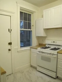 Logement entier en résidence à 21, Shepard St., Unit 1, Harvard Square, Cambridge, MA, 02138, image 9 de 19