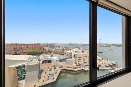 Toda a acomodação em residência em 85, East India, Unit 11A, Waterfront, Boston, MA, 02110, imagem 4 de 19