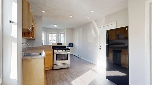 Evin tamamı Ikamet yerinde konumu 329, Paris St., Unit 3, East Boston, Boston, MA, 02128, 15 24 görüntüsü