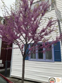 Evin tamamı Ikamet yerinde konumu 67, Gore St., Unit 2R, East Cambridge, Cambridge, MA, 02141, 12 18 görüntüsü