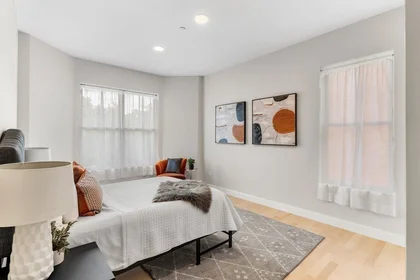 Toda a acomodação em residência em 123, Warren St., Unit 401, Roxbury, Boston, MA, 02119, imagem 13 de 27