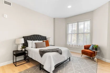Toda a acomodação em residência em 123, Warren St., Unit 401, Roxbury, Boston, MA, 02119, imagem 19 de 27