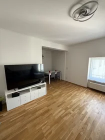 Gesamte Unterkunft in der Schönbrunner Straße, Meidling, bild 1 von 10