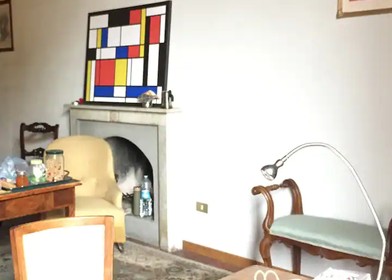 Stanza in affitto in appartamento condiviso a Pisa