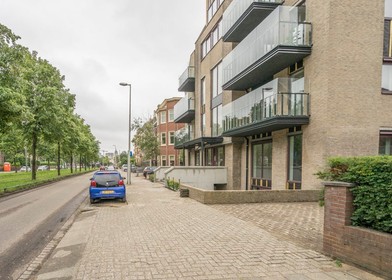 Chambre à louer dans un appartement en colocation à Den-haag